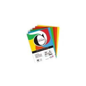 Risma CARTA COLORATA A4 80 gr. 100 FF.